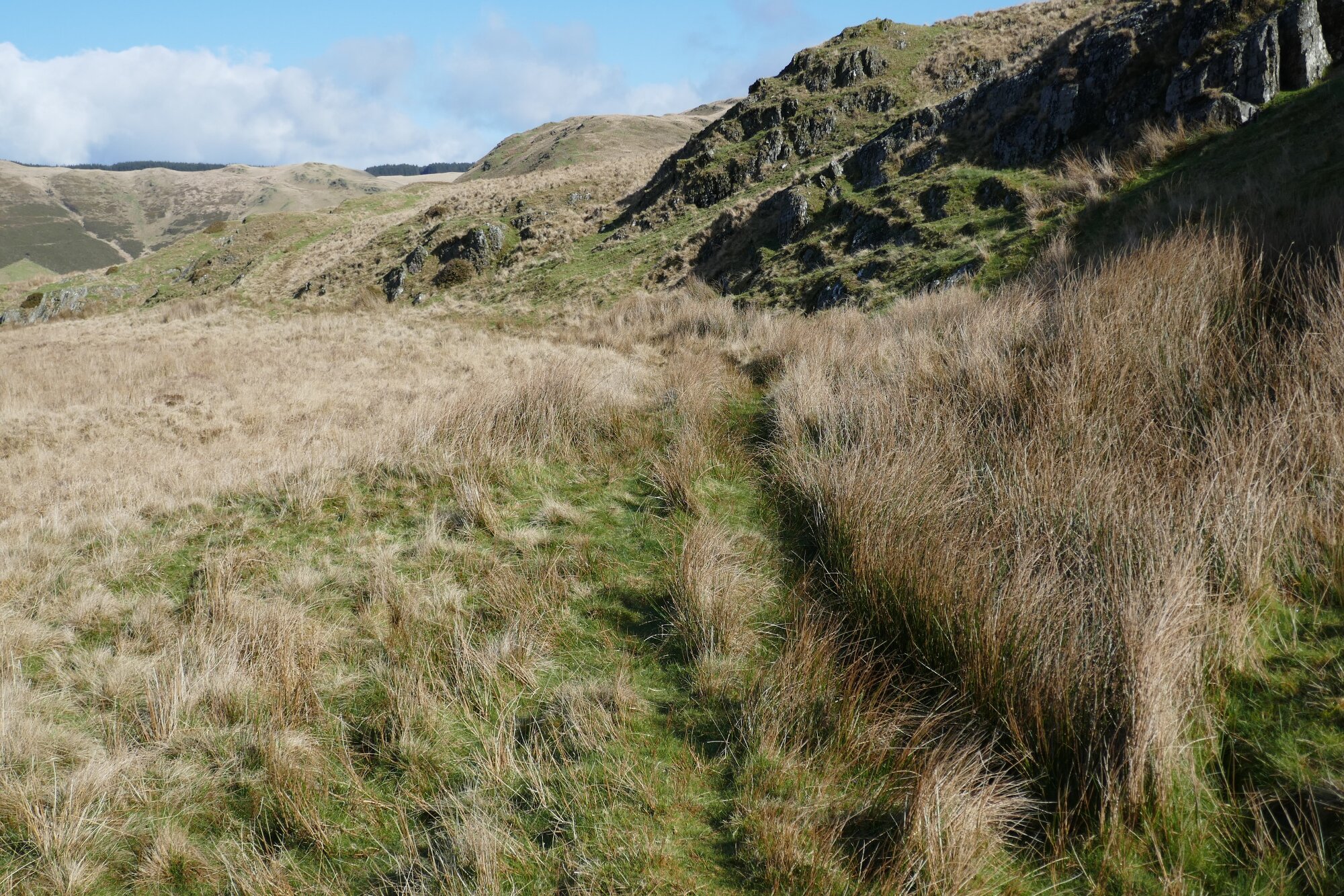 RachelSeabrook.net | Wild Walking | Bryn Mawr | pic21